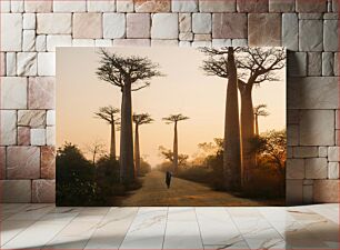 Πίνακας, Tranquil Stroll Among Baobab Trees Ήρεμη βόλτα ανάμεσα στα δέντρα Baobab