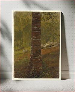 Πίνακας, Tree Trunk, Jamaica by Frederic Edwin Church, American, 1826–1900