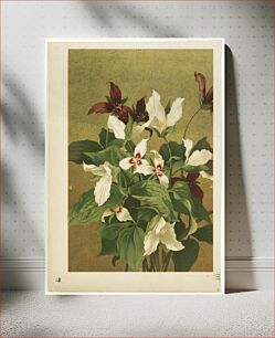 Πίνακας, Trillium by Ellen Thayer Fisher