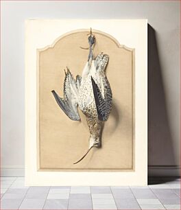 Πίνακας, Trompe l'Oeil: A Curlew Hanging from a Nail (1850s) by Édouard Traviès