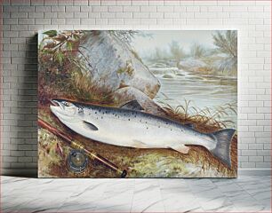 Πίνακας, Trout chromolithograph (1878) by Samuel Kilbourne