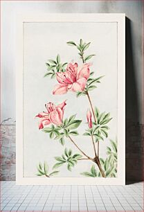 Πίνακας, Tsutsuji rhododendron Judicum (azalea) during 1870–1880 by Megata Morikaga