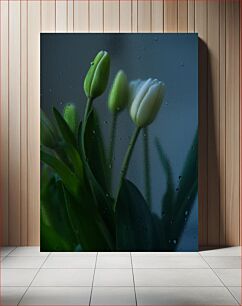 Πίνακας, Tulips Behind Glass Τουλίπες πίσω από το γυαλί