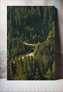 Πίνακας, Tunnel through Dense Forest Σήραγγα μέσα από Πυκνό Δάσος