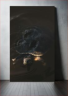 Πίνακας, Turtle in Dark Waters Χελώνα στα σκοτεινά νερά