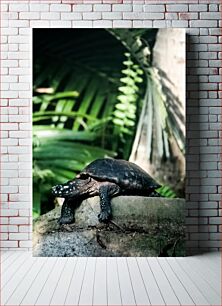 Πίνακας, Turtle in Lush Greenery Χελώνα σε Καταπράσινο