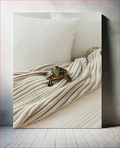 Πίνακας, Turtle on Beige Blanket Χελώνα σε μπεζ κουβέρτα