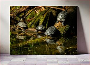 Πίνακας, Turtles by the Water's Edge Turtles by the Water's Edge