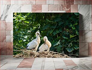 Πίνακας, Two Birds in Nature Δύο Πουλιά στη Φύση