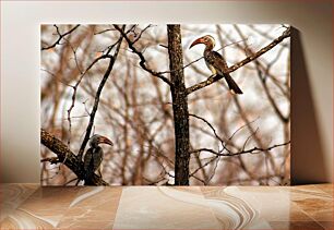 Πίνακας, Two Birds on Branches Δύο πουλιά στα κλαδιά