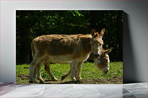 Πίνακας, Two Donkeys in a Field Δύο γαϊδούρια σε ένα χωράφι