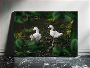 Πίνακας, Two Ducks by the Pond Δύο πάπιες δίπλα στη λίμνη