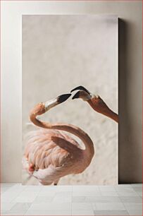 Πίνακας, Two Flamingos Interacting Δύο φλαμίνγκο που αλληλεπιδρούν