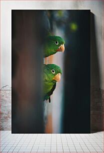 Πίνακας, Two Green Parrots Perching Δύο πράσινοι παπαγάλοι που κουρνιάζουν