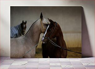 Πίνακας, Two Horses Nuzzling Δύο άλογα που μουδιάζουν