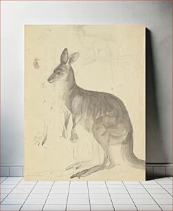 Πίνακας, Two Kangaroos with Details