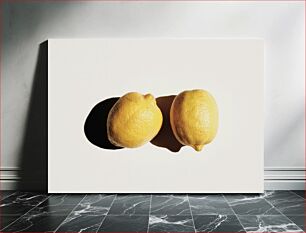 Πίνακας, Two Lemons Shadow Study Μελέτη Σκιάς Two Lemons