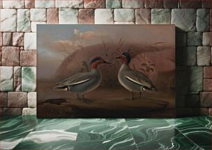 Πίνακας, Two male teals by the water, 1849, by Ferdinand von Wright