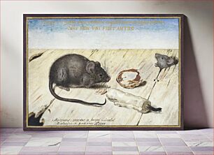 Πίνακας, Two Mice (1594) by Joris Hoefnagel