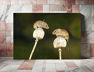 Πίνακας, Two Mice on Plants Δύο ποντίκια σε φυτά