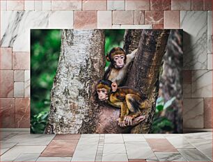 Πίνακας, Two Monkeys on a Tree Δύο πίθηκοι σε ένα δέντρο