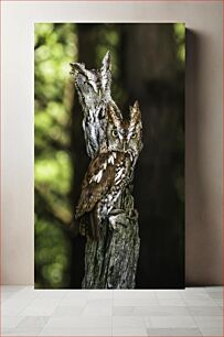 Πίνακας, Two Owls Perched on a Tree Trunk Δύο κουκουβάγιες σκαρφαλωμένα σε έναν κορμό δέντρου