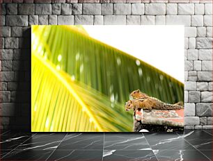 Πίνακας, Two Squirrels on a Roof Δύο σκίουροι σε μια στέγη