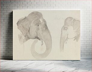 Πίνακας, Two Studies of an Indian Elephant's Head