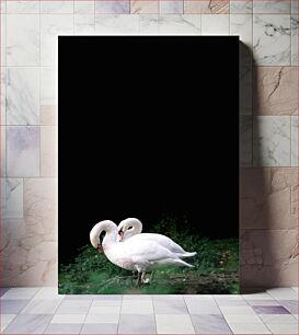 Πίνακας, Two Swans Δύο Κύκνοι