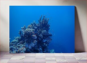 Πίνακας, Underwater Coral Reef Υποβρύχιος Κοραλλιογενής Ύφαλος