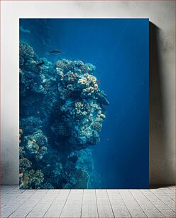 Πίνακας, Underwater Coral Reef Υποβρύχιος Κοραλλιογενής Ύφαλος
