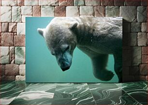 Πίνακας, Underwater Polar Bear Υποβρύχια πολική αρκούδα