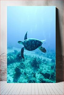 Πίνακας, Underwater Turtle Υποβρύχια χελώνα