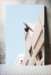 Πίνακας, Urban Flight Αστική πτήση