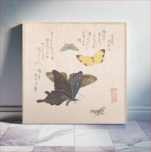 Πίνακας, Various Moths and Butterflies by Kubo Shunman