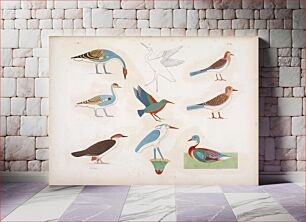 Πίνακας, Various species of birds represented in the hunts