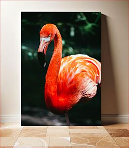 Πίνακας, Vibrant Flamingo Ζωντανό Φλαμίνγκο