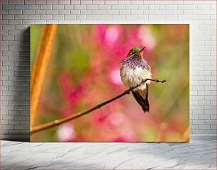 Πίνακας, Vibrant Hummingbird on a Branch Ζωντανό κολίβριο σε ένα κλαδί