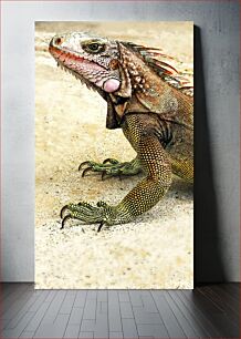 Πίνακας, Vibrant Iguana Portrait Ζωντανό πορτρέτο Iguana