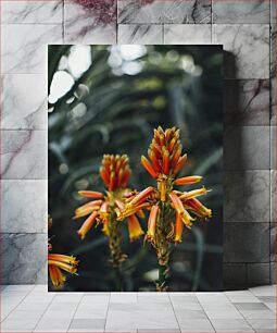 Πίνακας, Vibrant Orange Flowers Ζωντανά πορτοκαλί λουλούδια