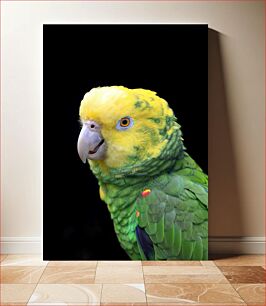 Πίνακας, Vibrant Parrot Portrait Ζωντανό πορτρέτο παπαγάλου