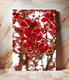 Πίνακας, Vibrant Red Leaves Ζωντανά κόκκινα φύλλα