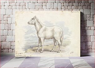 Πίνακας, Villous Horse, Primeval White Stock by Charles Hamilton Smith