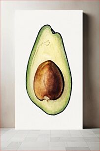 Πίνακας, Vintage avocado illustration