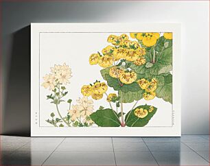 Πίνακας, Vintage calceolaria flower, ukiyo e artwork