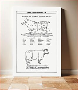 Πίνακας, Vintage cow anatomy drawing. The Open Door to Independence (1915) by Thomas E. Hill