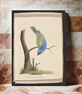 Πίνακας, Vintage cut-paper featherwork illustrations of birds (1830s) in high resolution