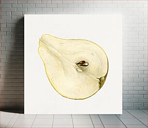 Πίνακας, Vintage halved pear illustration