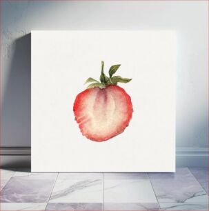 Πίνακας, Vintage halved strawberry illustration