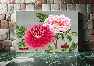 Πίνακας, Vintage peony flowers in pink, print from The Picture Book of Peonies by the Niigata Prefecture, Japan